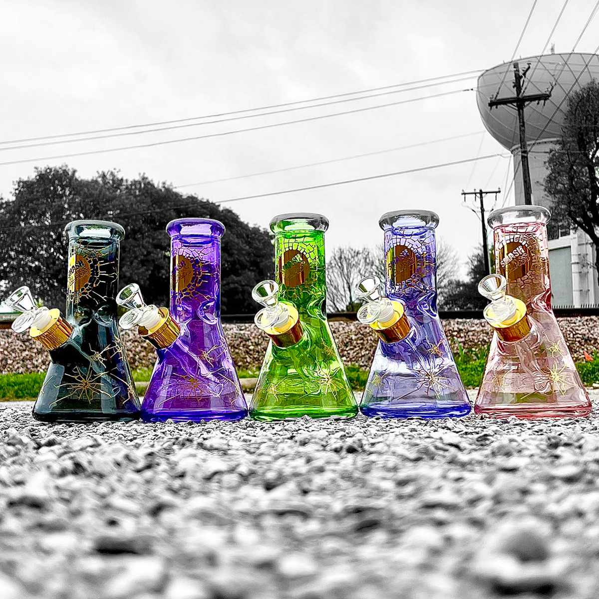 5 Pack 8" Color Smash